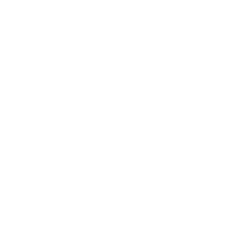 Mija Advocacy Icon 3